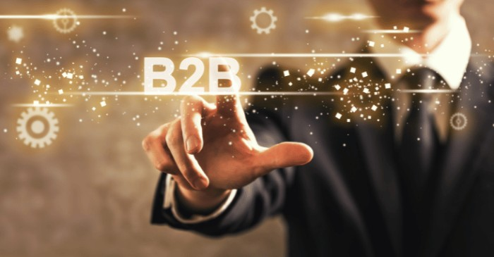 what is B2B sales